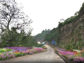 乡村道路花境景观设计