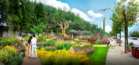 城市街道花境景观设计效果图