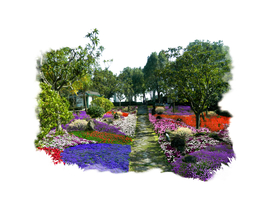 花境景观设计效果图