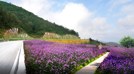 花海景观设计效果图