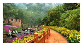 溪流花境景观设计效果图