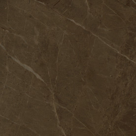 咖色大理石石材 300分辨率