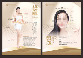 人体黄金围度   面部黄金比例