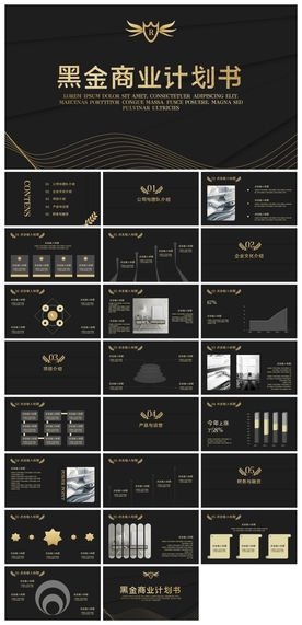 商务会议汇报项目介绍PPT
