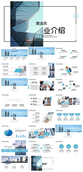 商务会议汇报项目介绍PPT