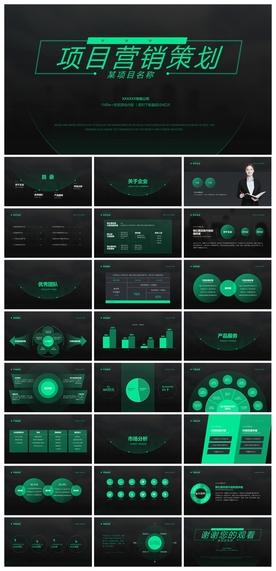 商务会议汇报项目介绍PPT