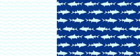波浪鲨鱼