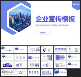 商务会议汇报项目介绍PPT