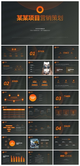 商务会议汇报项目介绍PPT