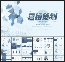 商务会议汇报项目介绍PPT