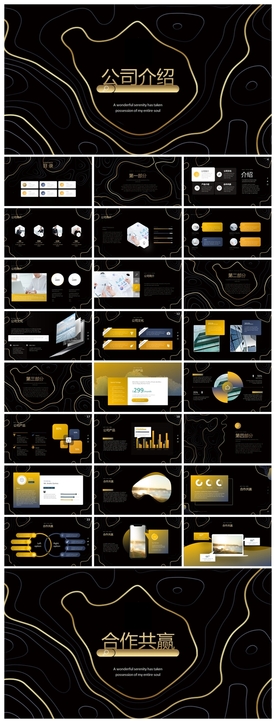 商务会议汇报项目介绍PPT