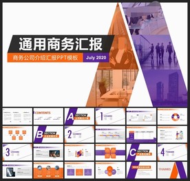 商务会议汇报项目介绍PPT