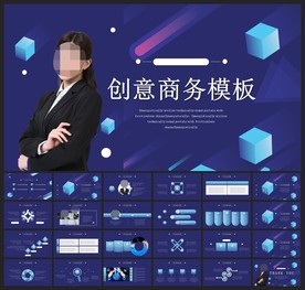 商务会议汇报项目介绍PPT