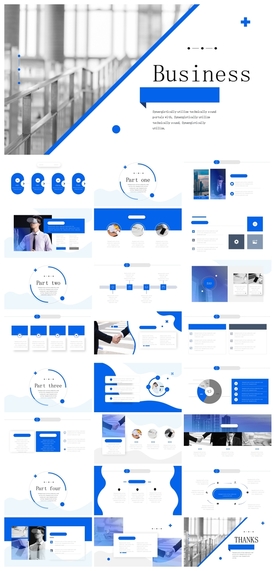商务会议汇报项目介绍PPT