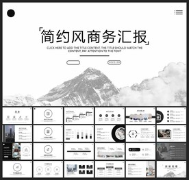 商务会议汇报项目介绍PPT