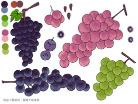 葡萄手绘素材