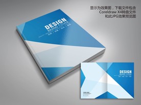 蓝色大色块画册封面