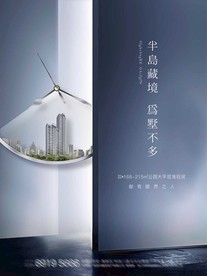 高档房地产宣传 广告