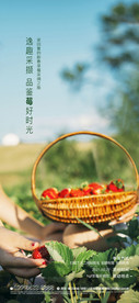 春暖花开草莓采摘活动海报