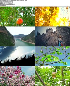 我在一颗石榴里看见了我的祖国