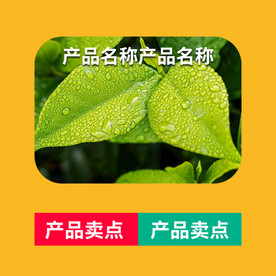 电商主图产品图