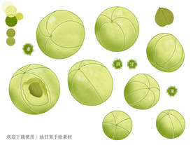 油柑果手绘素材