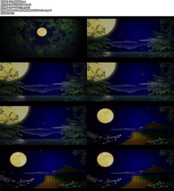 邵多丽舞台背景视频