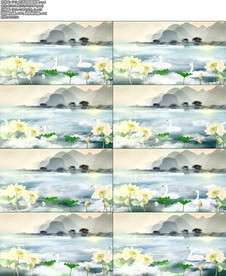 古诗词咏鹅背景