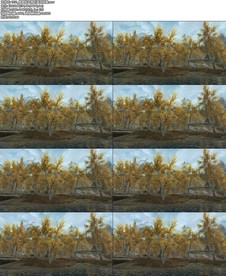 唯美秋天落叶溪流场景