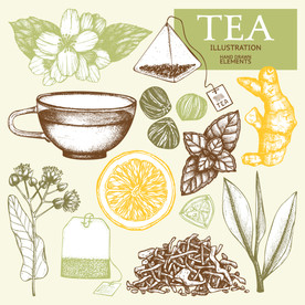 薄荷手绘 手绘姜片 柠檬茶