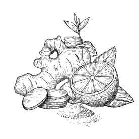 生姜手绘 手绘姜片 柠檬 绿茶