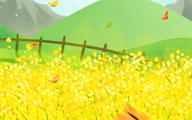 惊蛰油菜花装饰背景