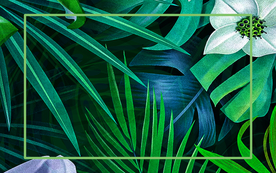 绿色艺术装饰背景