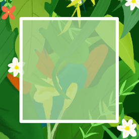 绿色装饰植物边框背景