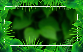 绿色植物插画背景