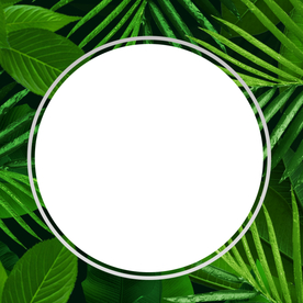 绿色插画植物背景