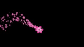花朵拖尾粒子特效视频