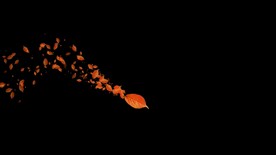 金秋树叶拖尾粒子特效视频