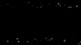 甲骨文遮罩边框前景装饰视频带通