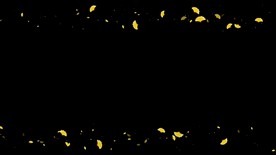 杏叶遮罩边框前景装饰视频带通道