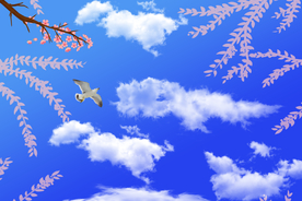 桃花蓝天