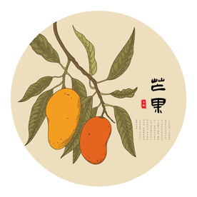 芒果手绘