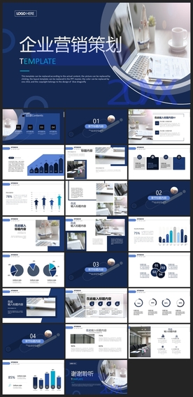 商务会议汇报项目介绍PPT