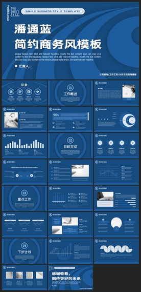 商务会议汇报项目介绍PPT
