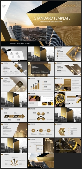 商务会议汇报项目介绍PPT