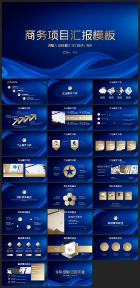 商务会议汇报项目介绍PPT