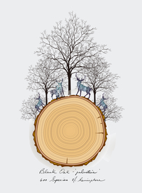 创意年轮树木装饰画