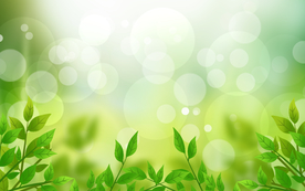 光感背景绿色背景