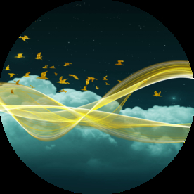 丝带飞鸟装饰画