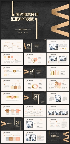 商务会议汇报项目介绍PPT